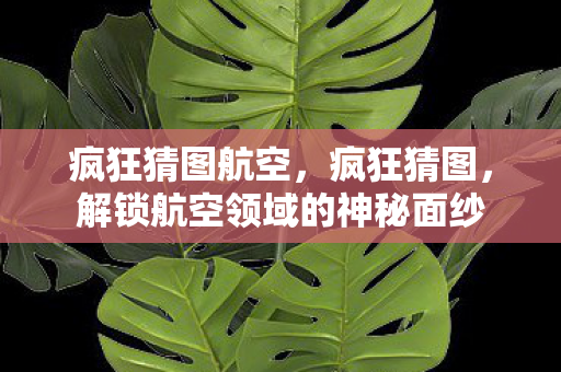 疯狂猜图航空,疯狂猜图,解锁航空领域的神秘面纱 疯狂猜图航空,疯狂猜图,解锁航空领域的神秘面纱