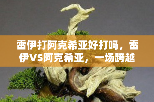 雷伊打阿克希亚好打吗,雷伊VS阿克希亚,一场跨越时空的激战 雷伊打阿克希亚好打吗,雷伊VS阿克希亚,一场跨越时空的激战
