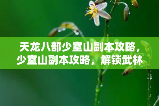 天龙八部少室山副本攻略，少室山副本攻略，解锁武林绝学的神秘之旅