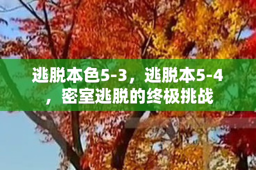 逃脱本色5-3,逃脱本5-4,密室逃脱的终极挑战 逃脱本色5-3,逃脱本5-4,密室逃脱的终极挑战