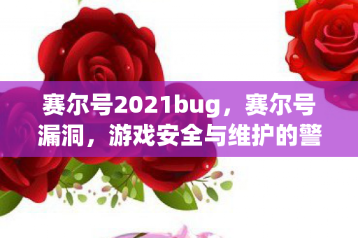 赛尔号2021bug，赛尔号漏洞，游戏安全与维护的警钟