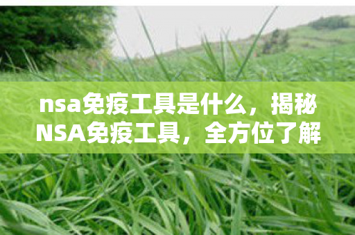 nsa免疫工具是什么，揭秘NSA免疫工具，全方位了解其功能与应用