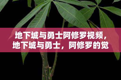地下城与勇士阿修罗视频，地下城与勇士，阿修罗的觉醒之路