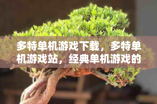 多特单机游戏下载，多特单机游戏站，经典单机游戏的回忆与传承
