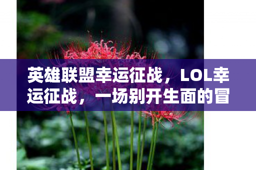 英雄联盟幸运征战，LOL幸运征战，一场别开生面的冒险之旅