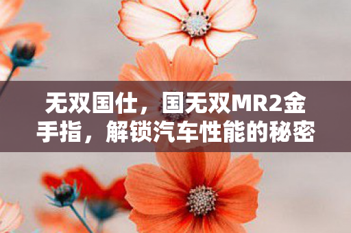 国无双MR2金手指图片