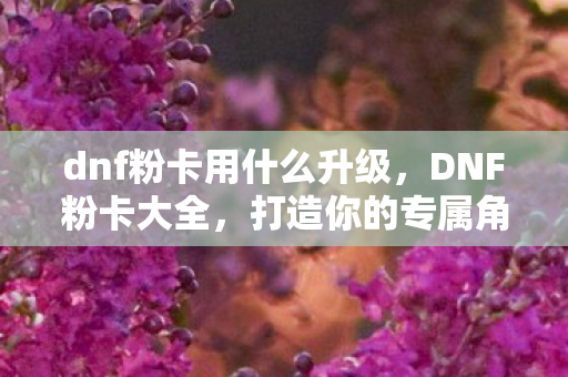 dnf粉卡用什么升级图片