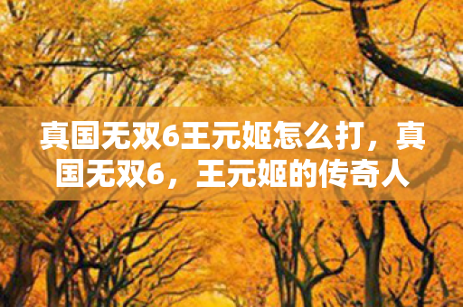 真国无双6王元姬怎么打,真国无双6,王元姬的传奇人生 真国无双6王元姬怎么打,真国无双6,王元姬的传奇人生