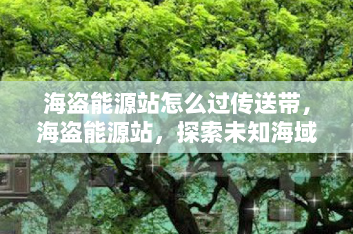 海盗能源站怎么过传送带,海盗能源站,探索未知海域的能源宝藏 海盗能源站怎么过传送带,海盗能源站,探索未知海域的能源宝藏