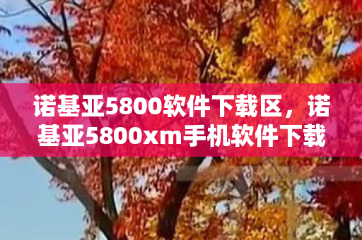 诺基亚5800软件下载区，诺基亚5800xm手机软件下载，重温经典，拓展功能