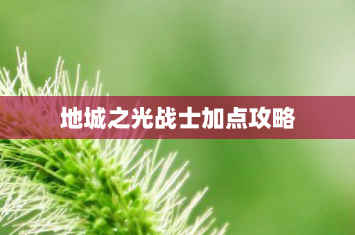 地城之光战士加点攻略