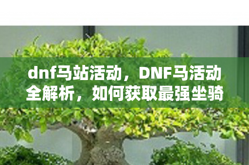 DNF马活动全解析图片