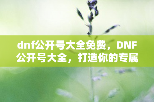 dnf公开号大全免费,DNF公开号大全,打造你的专属角色,探索无限可能 dnf公开号大全免费,DNF公开号大全,打造你的专属角色,探索无限可能