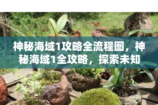 神秘海域1攻略全流程图,神秘海域1全攻略,探索未知世界的冒险之旅 神秘海域1攻略全流程图,神秘海域1全攻略,探索未知世界的冒险之旅