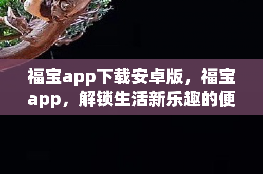 福宝app下载安卓版,福宝app,解锁生活新乐趣的便捷工具 福宝app下载安卓版,福宝app,解锁生活新乐趣的便捷工具