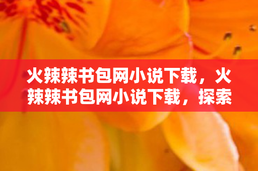 探索数字阅读的便捷与乐趣图片