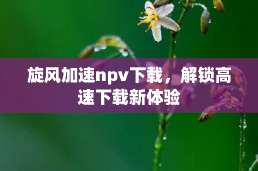 旋风加速npv下载图片