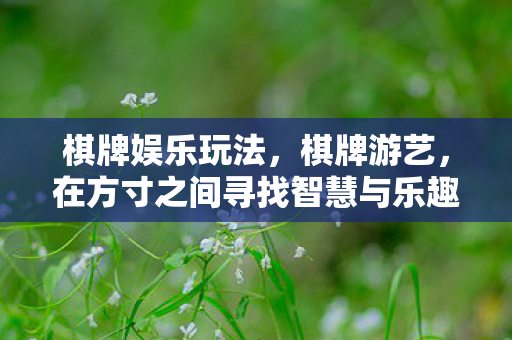 棋牌娱乐玩法,棋牌游艺,在方寸之间寻找智慧与乐趣的交汇 棋牌娱乐玩法,棋牌游艺,在方寸之间寻找智慧与乐趣的交汇
