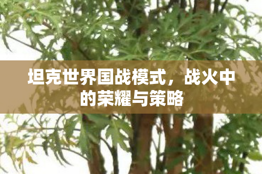 坦克世界国战模式，战火中的荣耀与策略