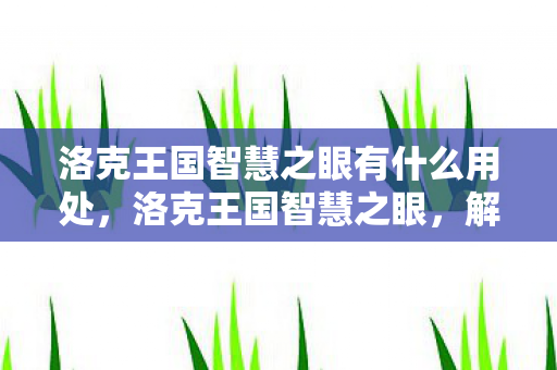 洛克王国智慧之眼有什么用处，洛克王国智慧之眼，解锁神秘力量的钥匙
