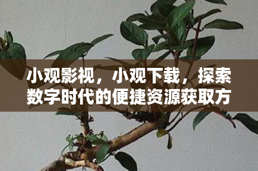 小观影视，小观下载，探索数字时代的便捷资源获取方式