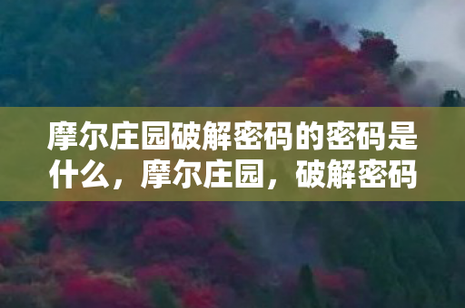 摩尔庄园破解密码的密码是什么,摩尔庄园,破解密码的奇妙冒险 摩尔庄园破解密码的密码是什么,摩尔庄园,破解密码的奇妙冒险