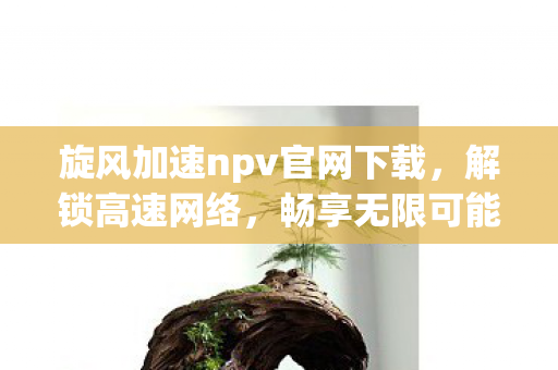 旋风加速npv官网下载，解锁高速网络，畅享无限可能