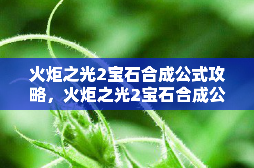 火炬之光2宝石合成公式攻略,火炬之光2宝石合成公式详解 火炬之光2宝石合成公式攻略,火炬之光2宝石合成公式详解