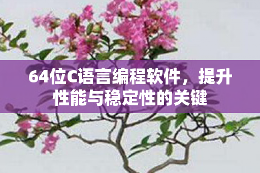 64位C语言编程软件,提升性能与稳定性的关键 64位C语言编程软件,提升性能与稳定性的关键