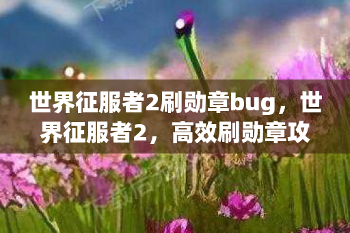 世界征服者2刷勋章bug,世界征服者2,高效刷勋章攻略 世界征服者2刷勋章bug,世界征服者2,高效刷勋章攻略