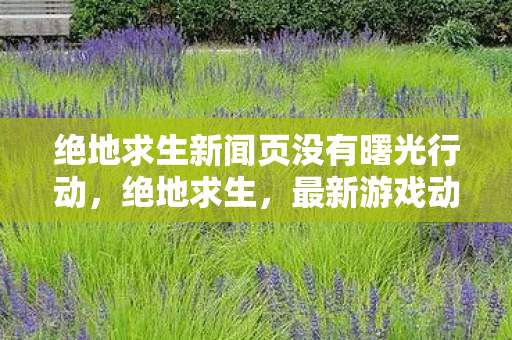 绝地求生新闻页没有曙光行动,绝地求生,最新游戏动态与玩家热议 绝地求生新闻页没有曙光行动,绝地求生,最新游戏动态与玩家热议