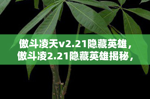 傲斗凌天v2.21隐藏英雄，傲斗凌2.21隐藏英雄揭秘，解锁未知战斗力量