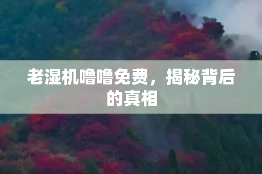 老湿机噜噜免费，揭秘背后的真相