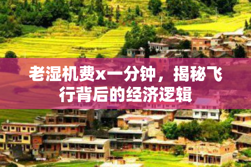 老湿机费x一分钟，揭秘飞行背后的经济逻辑