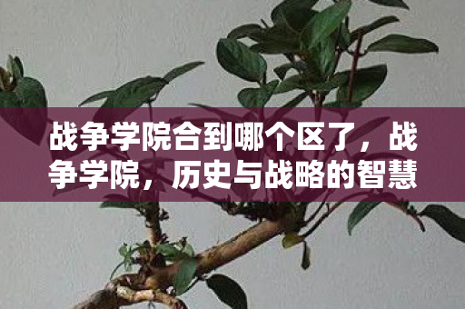 战争学院合到哪个区了，战争学院，历史与战略的智慧交汇之地