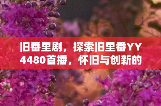 旧番里剧，探索旧里番YY4480首播，怀旧与创新的碰撞