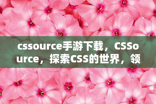cssource手游下载，CSSource，探索CSS的世界，领略设计美学的魅力