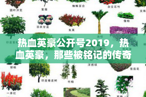 热血英豪公开号2019，热血英豪，那些被铭记的传奇故事