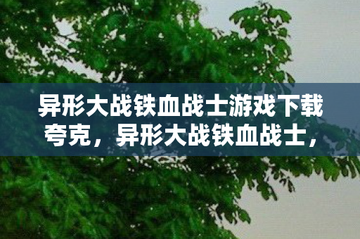 异形大战铁血战士游戏下载夸克,异形大战铁血战士,一场终极狩猎的下载指南 异形大战铁血战士游戏下载夸克,异形大战铁血战士,一场终极狩猎的下载指南