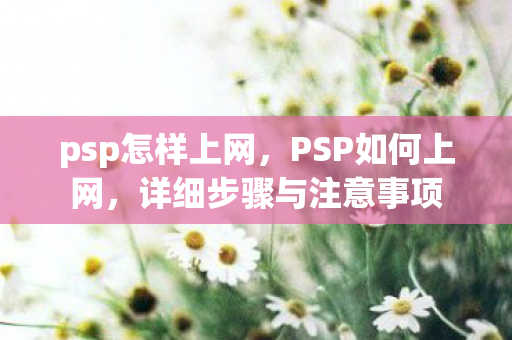 详细步骤与注意事项图片