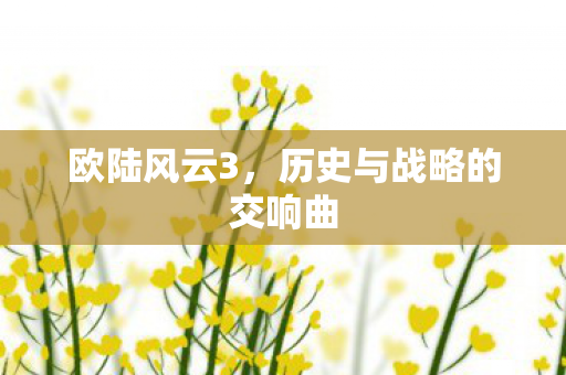 欧陆风云3，历史与战略的交响曲