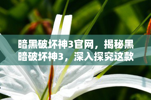 暗黑破坏神3官网，揭秘黑暗破坏神3，深入探究这款游戏的魅力所在