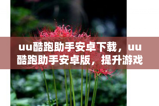 uu酷跑助手安卓下载，uu酷跑助手安卓版，提升游戏体验的必备神器