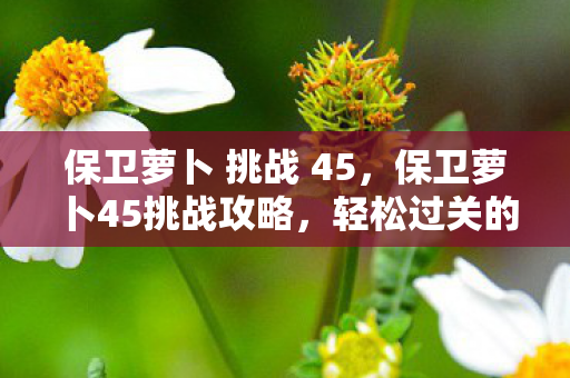 保卫萝卜 挑战 45，保卫萝卜45挑战攻略，轻松过关的秘诀