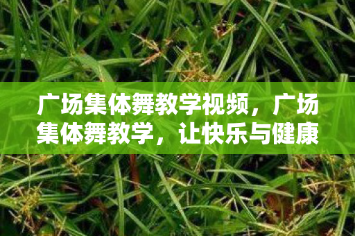 广场集体舞教学视频图片
