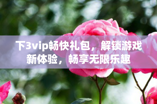 下3vip畅快礼包图片