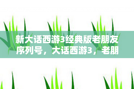 新大话西游3经典版老朋友序列号图片