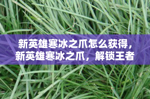 解锁王者荣耀中的冰寒之力图片