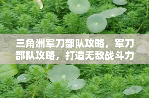 打造无敌战斗力的全面指南图片