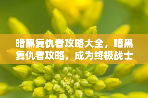 暗黑复仇者攻略大全，暗黑复仇者攻略，成为终极战士的必经之路